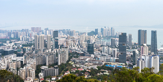 深圳南山区建筑群图片