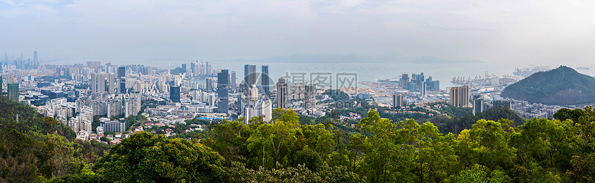 深圳南山区建筑群图片