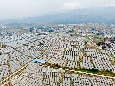 航拍农业种植基地图片