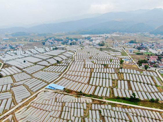 航拍农业种植基地图片