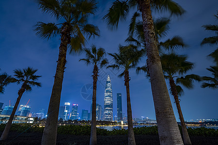 夜景深圳春笋华润中心大厦图片