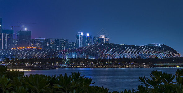 夜景深圳春茧体育图片