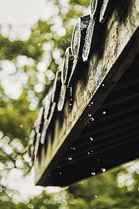 杭州灵隐寺春天下雨的寺庙屋檐图片