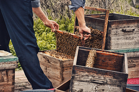 乡村农家传统手工劳动养蜂背景图片