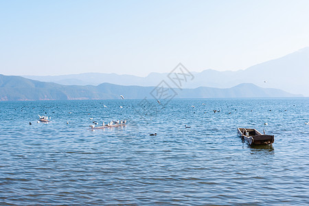 云南泸沽湖湖水蓝色背景图片