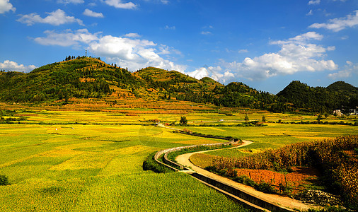 田园秋色背景图片