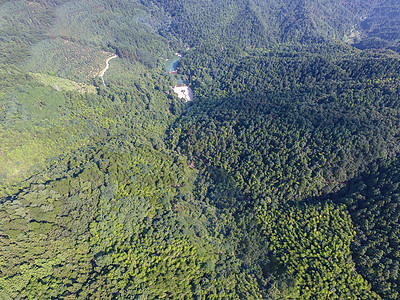 航拍湖南湘西绿色森林背景图片