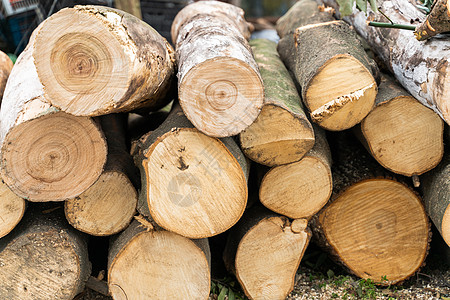原木料木质木头高清图片