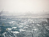 雪后的佘山图片