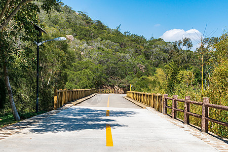 厦门植物园景区内的环山公路背景图片