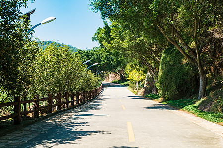 厦门植物园景区内的环山公路背景图片