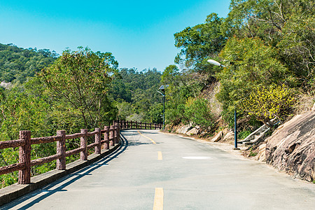 厦门植物园景区内的环山公路图片