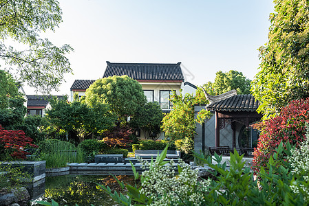 中式别墅中式住宅小区绿化景观背景