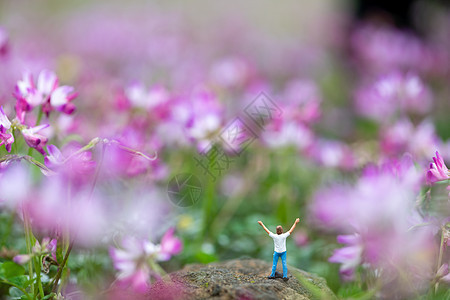 紫云英花朵中的登山微距小人图片