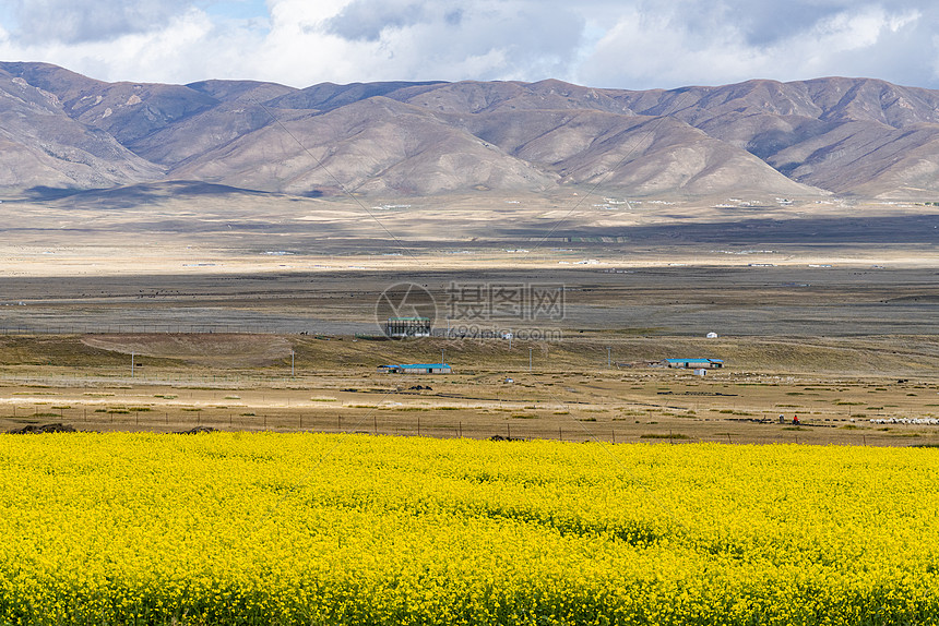西北油菜测土配方施肥技术内容简介