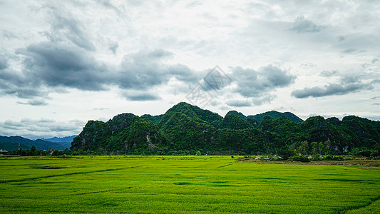 越南喀斯特地貌山间田野图片