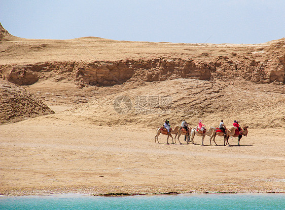 水上雅丹沙漠骆驼队图片