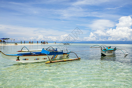 菲律宾铁树菲律宾薄荷岛螃蟹船背景