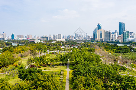 厦门白鹭洲公园绿化背景