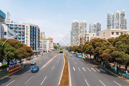 绿化厦门东渡交通公路背景