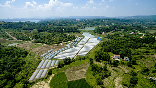 澧县岑怀农庄大棚蔬菜背景