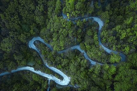 航拍蜿蜒道路与森林图片