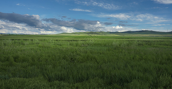 生机勃勃内蒙希拉穆仁草原风光背景