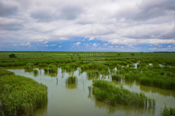 盐城大洋湾湿地风景区图片