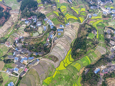 航拍春暖花开乡村田园图片