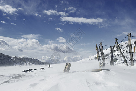 新疆高山牧场雪景图片