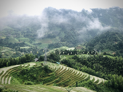 龙脊梯田背景图片