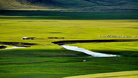 呼伦贝尔大草原莫日格勒河牛羊成群背景图片