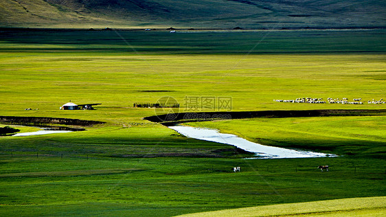 呼伦贝尔大草原莫日格勒河牛羊成群图片