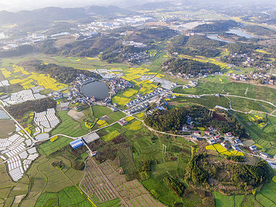 航拍春天田园乡村油菜花图片