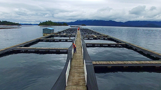 千岛湖鱼子酱养殖基地背景图片