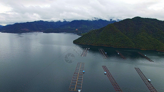 千岛湖鱼子酱养殖基地图片