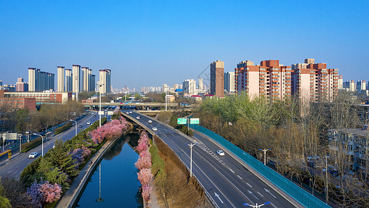 樱花路石家庄北二环运河立交桥背景