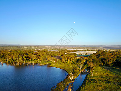 肯尼亚奈瓦沙湖背景图片