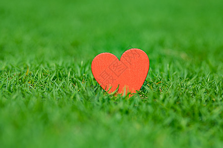 爱心绿色草地上的红色爱心背景
