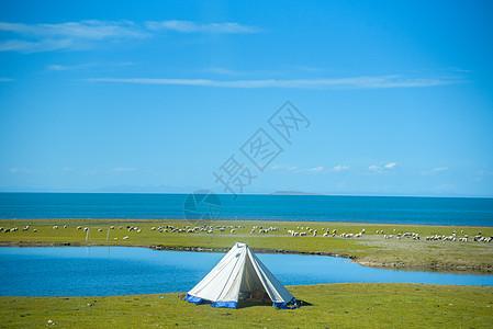 青海湖畔青海湖湖边风景背景