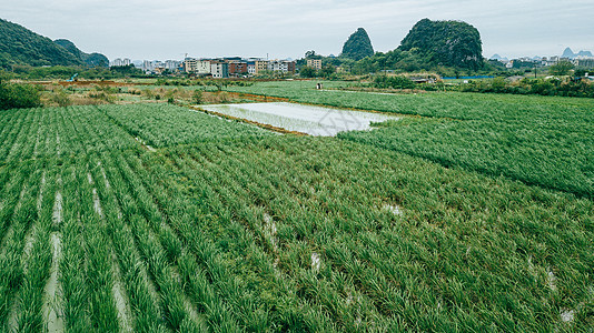 航拍春耕乡间农田郊区风景田园风光图片