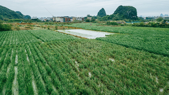 航拍春耕乡间农田郊区风景田园风光图片