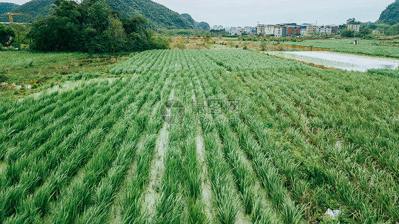 航拍春耕乡间农田郊区风景田园风光图片