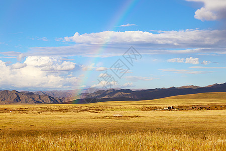 秋分banner干净的桑科草原背景