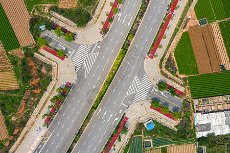 道路边的农田图片