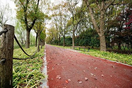 春天健身步道图片