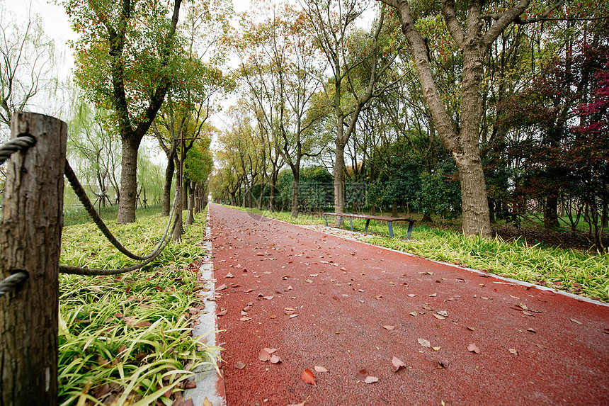 春天健身步道图片