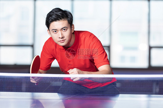 打乒乓球的青年男性图片