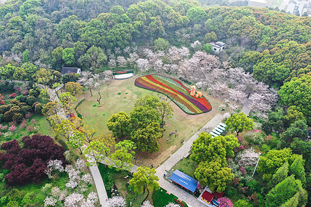 苏州上方山国家森林公园图片