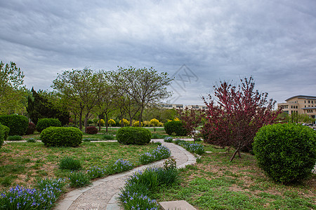 社区花园美景背景图片